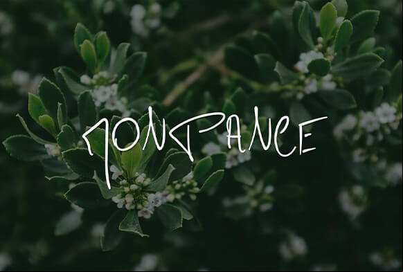 font di Adobe Photoshop gratis
