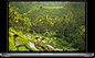 apple macbook pro laptop for photoshop image