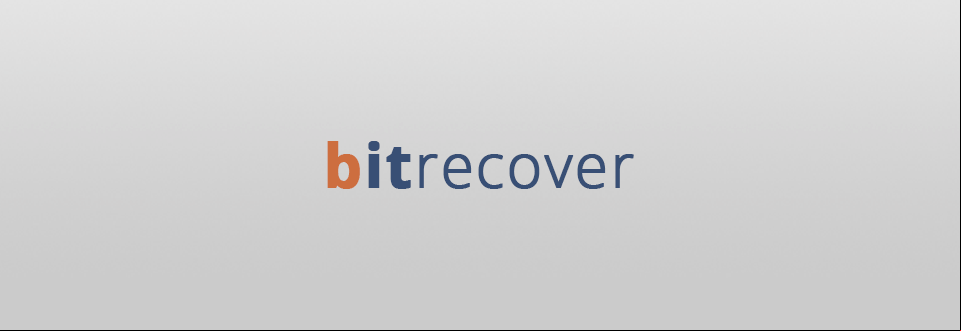 bitrecover nst to pst converter logo