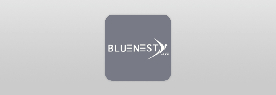 bluenest digital marketing agency logo