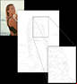 paintyournumbers image