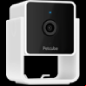 petcube cam dog camera