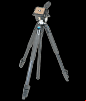 slik sprint pro iii budget tripod